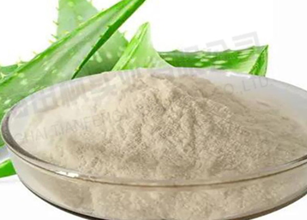 蘆薈凍干，凍干粉真空冷凍干燥機(jī)應(yīng)用于蘆薈凍干